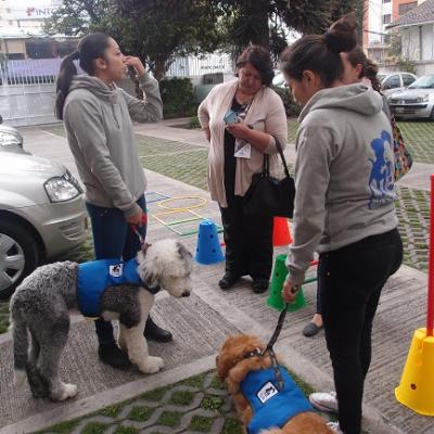 Casa201611